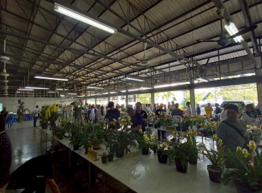 ลงพื้นที่ศึกษาแนวทางการจัดงานประกวดกล้วยไม้ของสมาคมพฤกษชาติแห่งประเทศไทย ในพระบรมราชูปถัมภ์ ณ บางกอกฟลาวเวอร์ เซนเตอร์ เขตหนองแขม กรุงเทพมหานคร ... พารามิเตอร์รูปภาพ 1